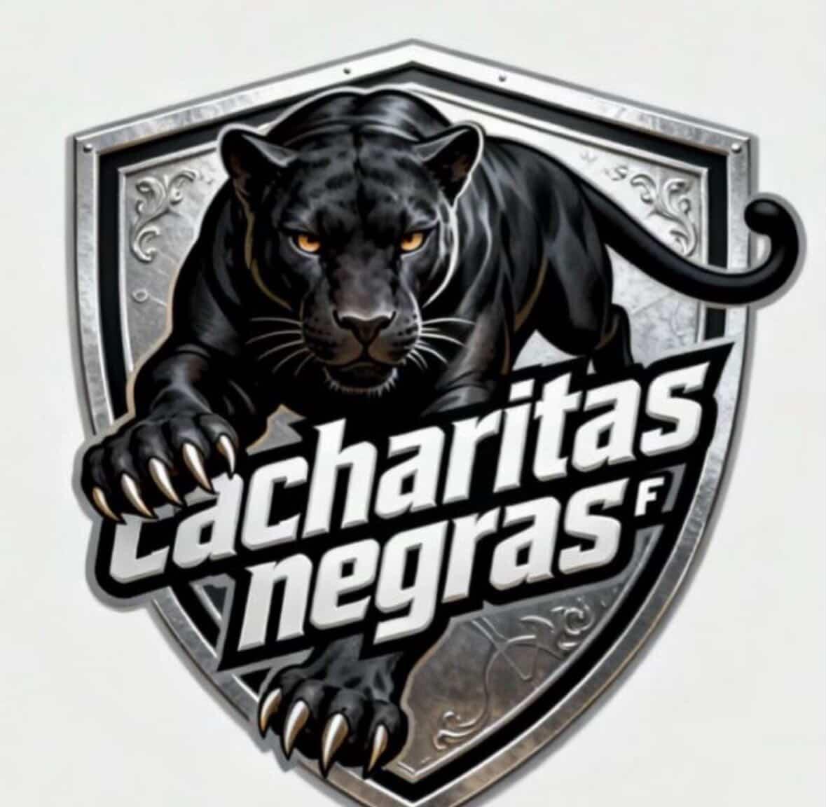 Cacharitas