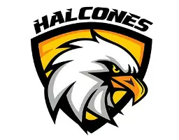 HALCON FC FEMENIL SECU