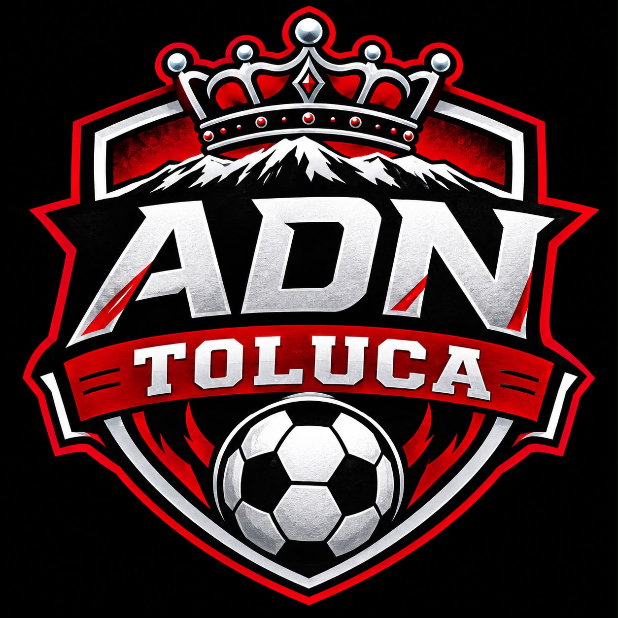 TOLUCA ADN 2012