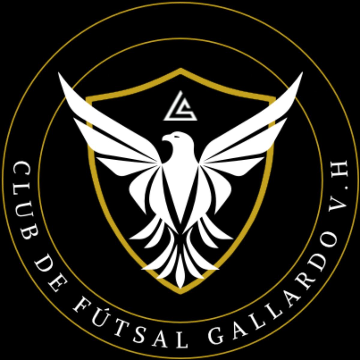 Club de futsal Gallardo V.H.