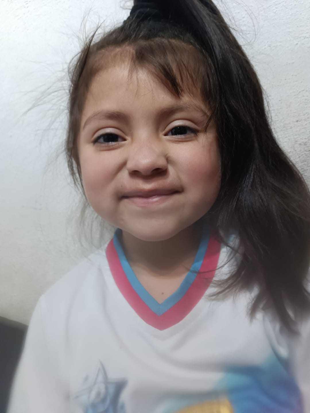ALMA ISABELLA VERA GUARNEROS