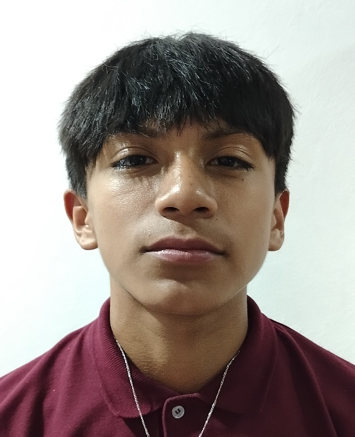 Salvador Napoles Hernández