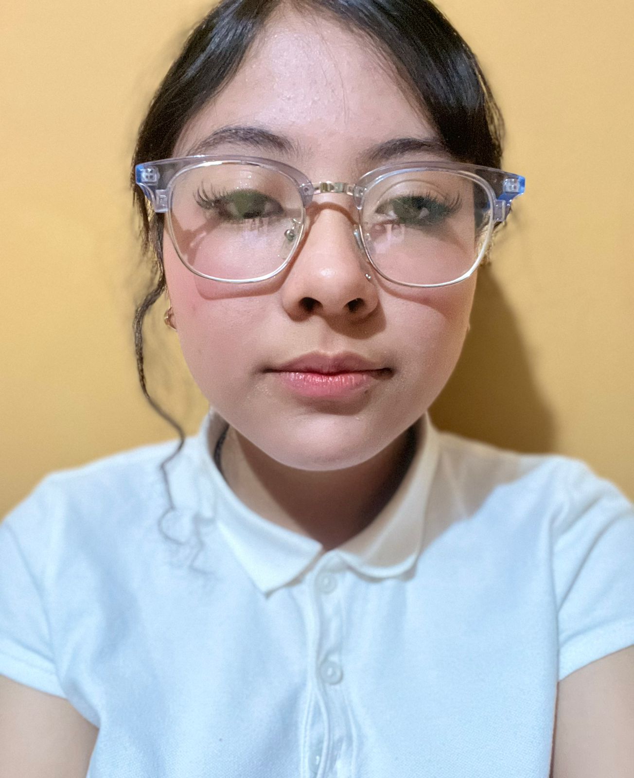 Sthepani Guadalupe Mendoza Martinez