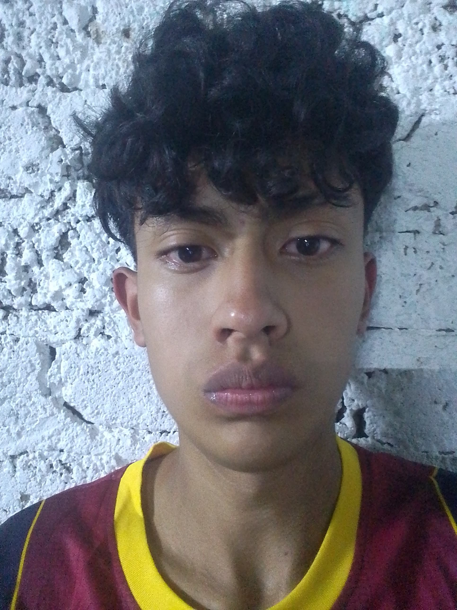 BRIAN MARTIN MENESES GONZALEZ