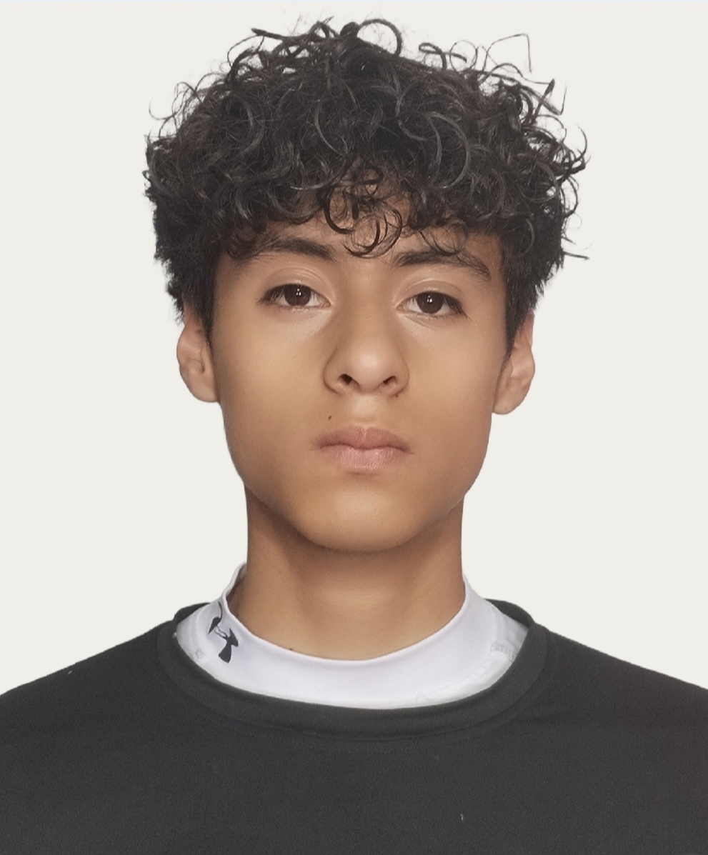 ANGEL ESTEBAN FLORES GOMEZ