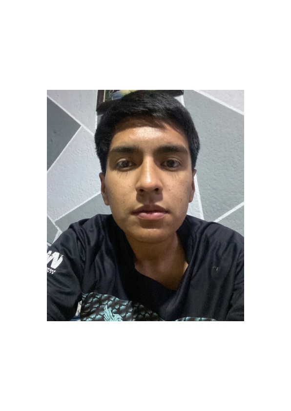 DIEGO OMAR BAÑOS ENRIQUEZ