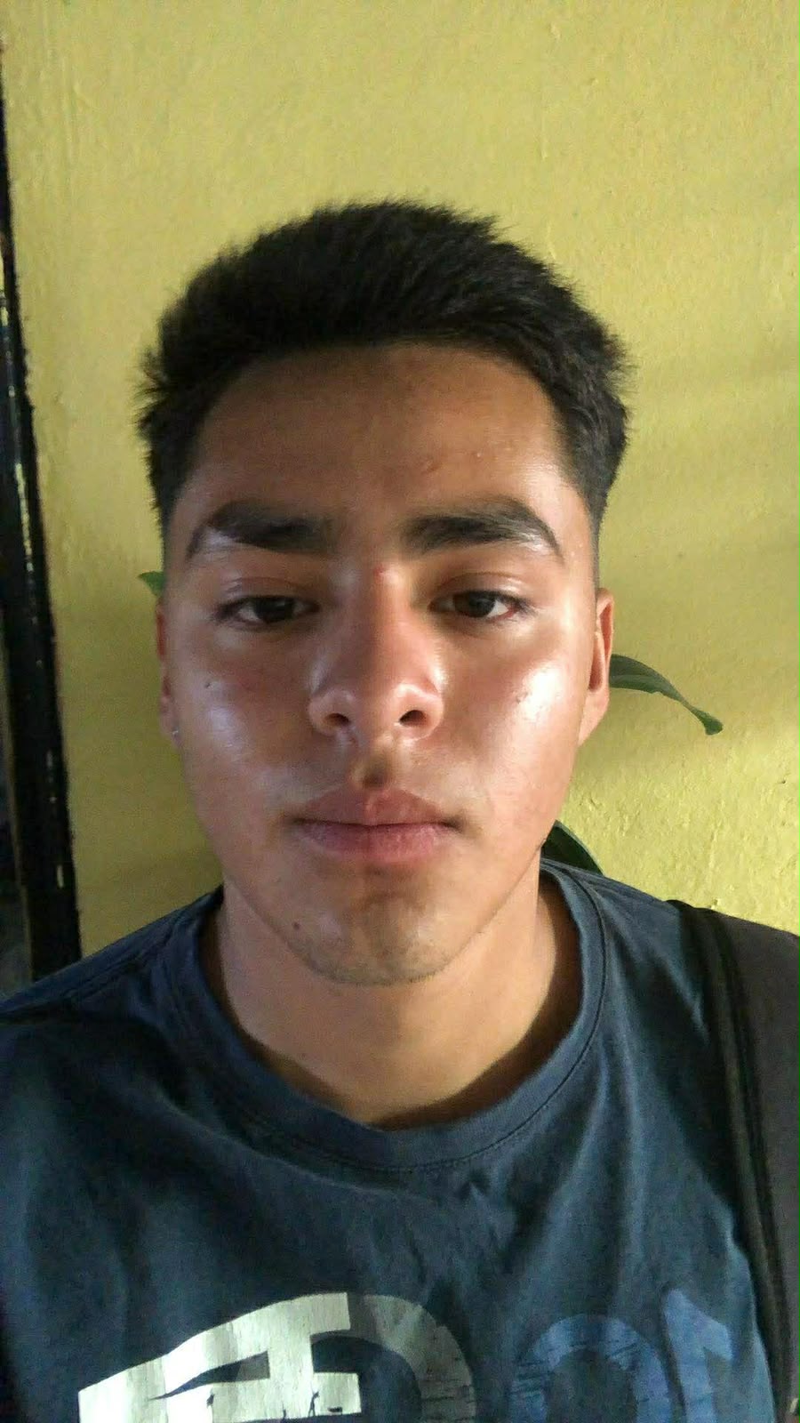 CESAR ADRIAN REULES ALFARO