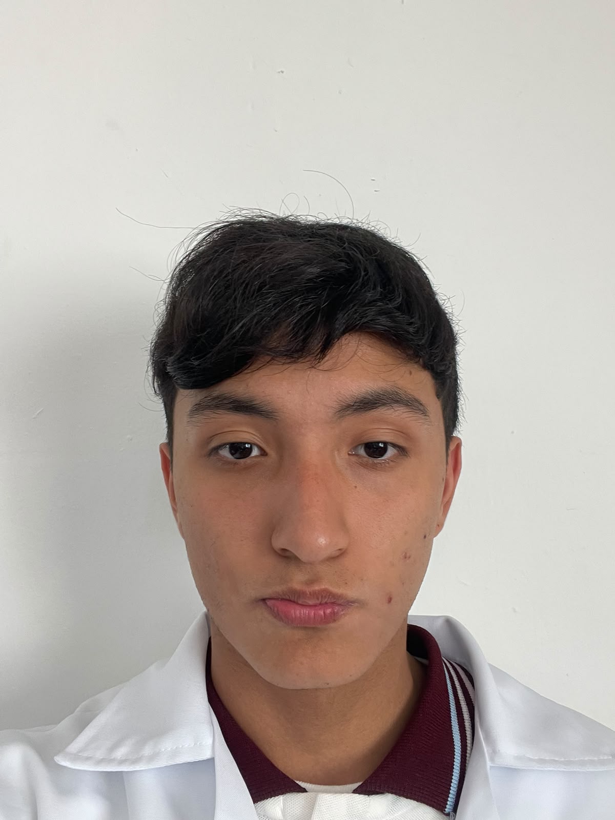 Michell alexis sanchez castro
