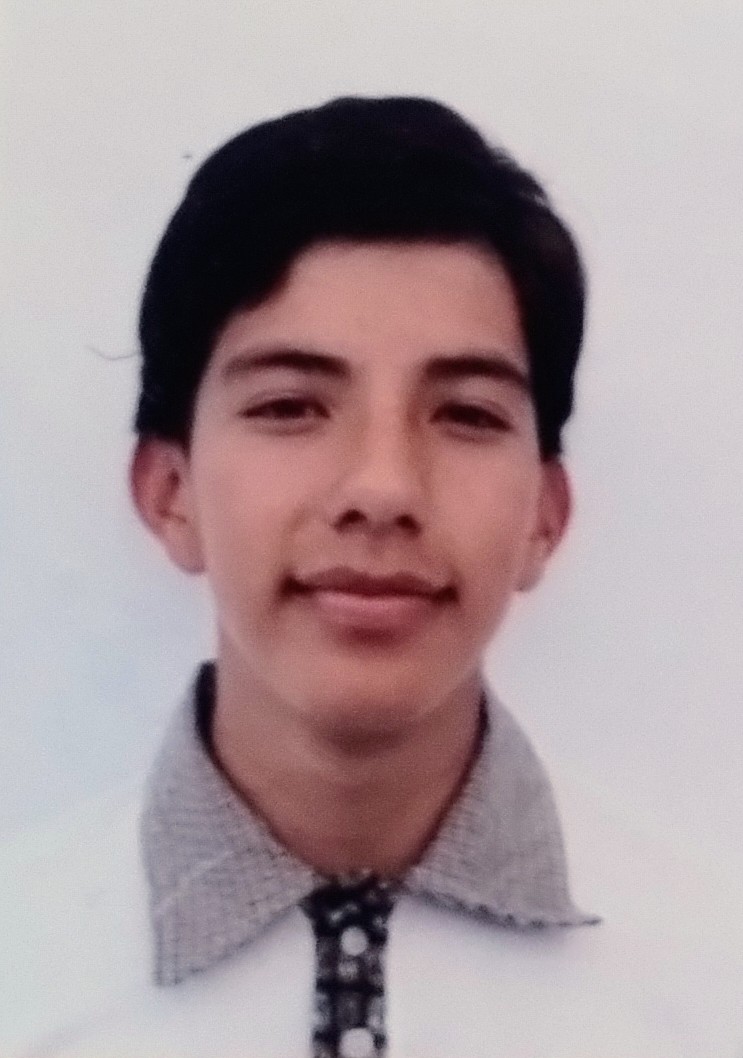 Ollin Alejandro Licea Monroy