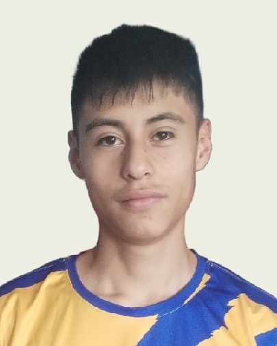 ANGEL ERNESTO FLORES GOMEZ
