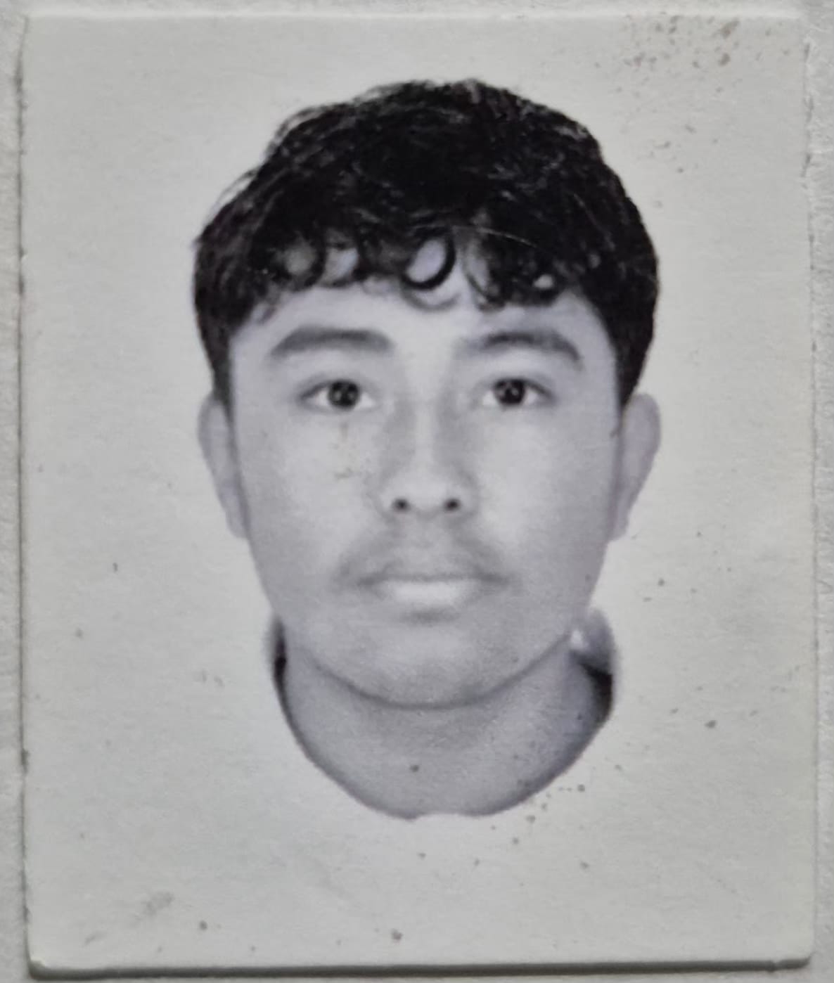 Damian Alfonso Hernandez Luna