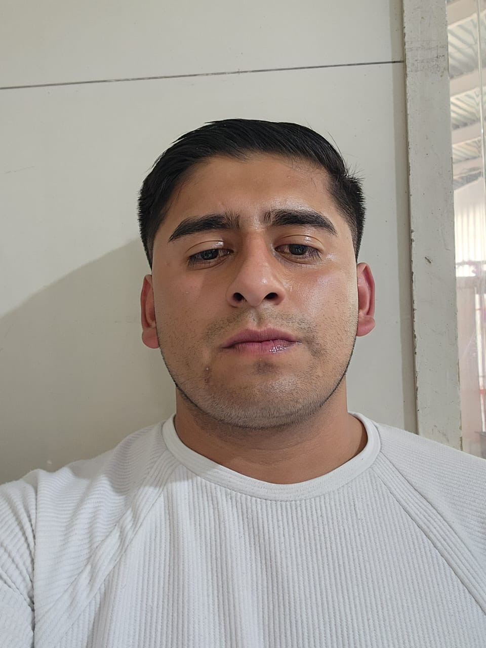 Bryan Alexis Velázquez flores