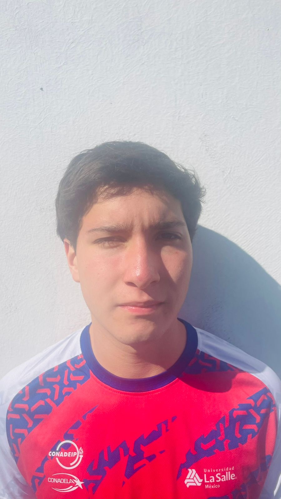 Emiliano Aristides Violante Durán
