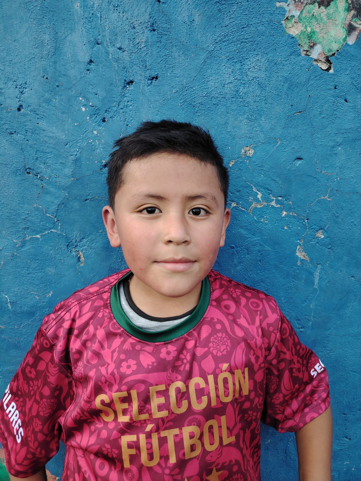 Cristian Santiago Dominguez Martinez