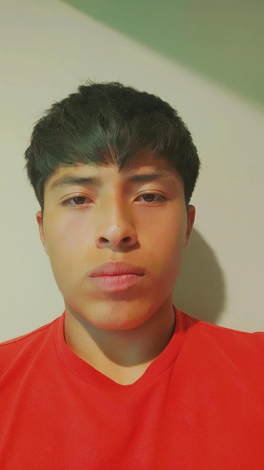 Jan Carlo Martinez Chavarria