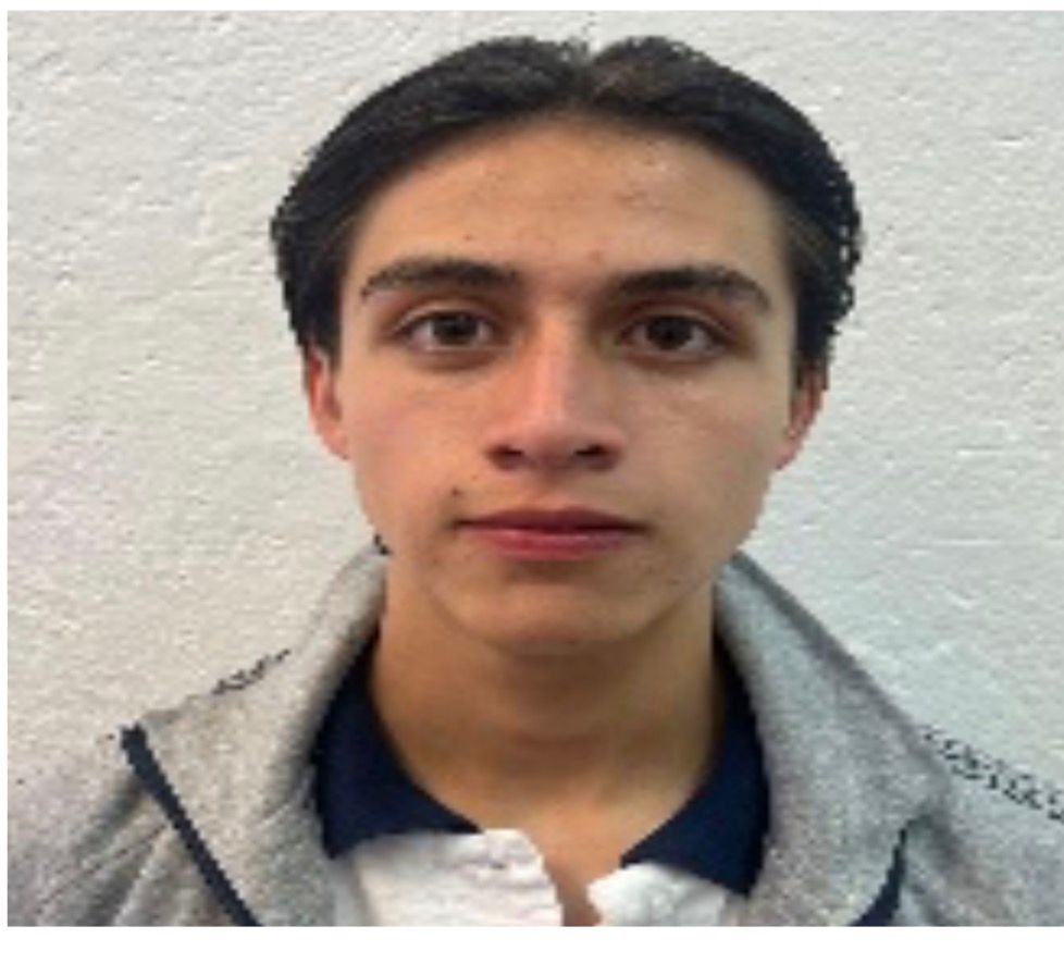 Diego Hernandez Palafox