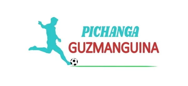 PICHANGA GUZMANGUINA